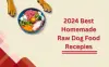 12 Diy Homemade Raw Dog Food Recipes [vet-Approved]